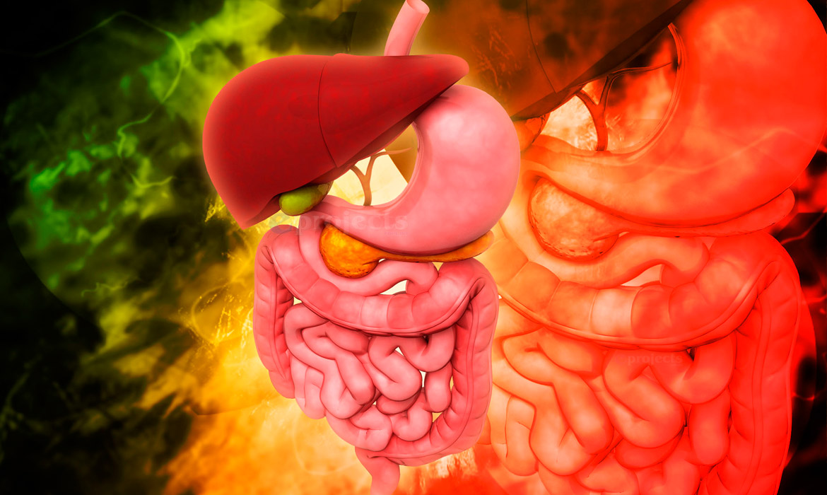 Cirugía gastrointestinal